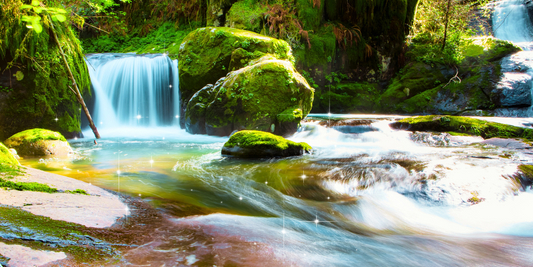 Energetische Entgiftung: Ein Schlüssel zu innerem Frieden und Vitalität